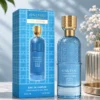 SOLOOU 803 30ML 12 UNIDADES